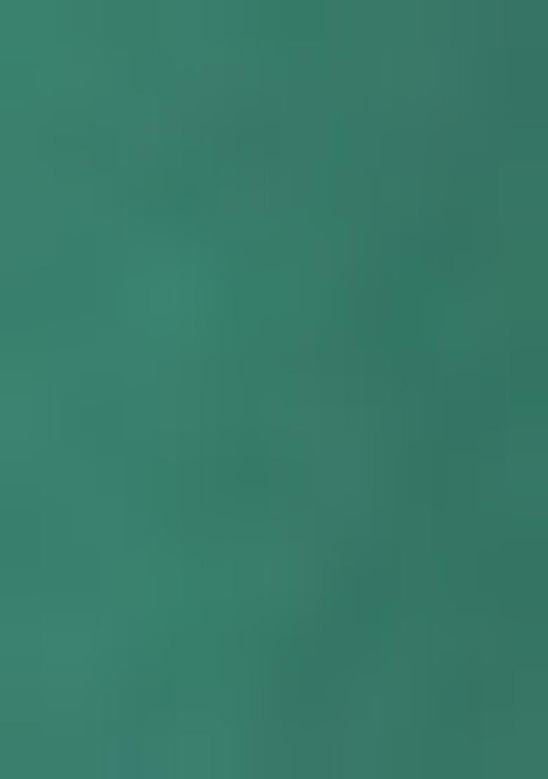 Mint Green Sequin Blouse Georgette Lehenga Set