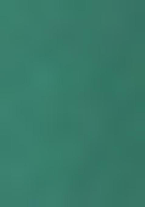 Mint Green Sequin Blouse Georgette Lehenga Set