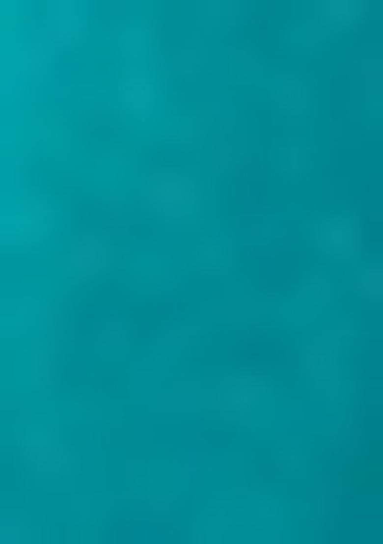 Sky Blue Zari Embroidered Blouse Georgette Lehenga Set