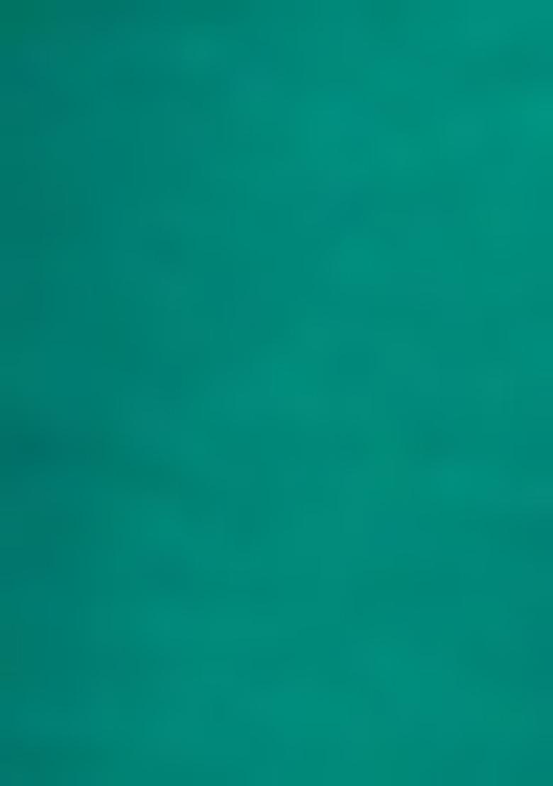 Green Embroidered Blouse Georgette Lehenga Set