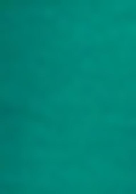 Green Embroidered Blouse Georgette Lehenga Set