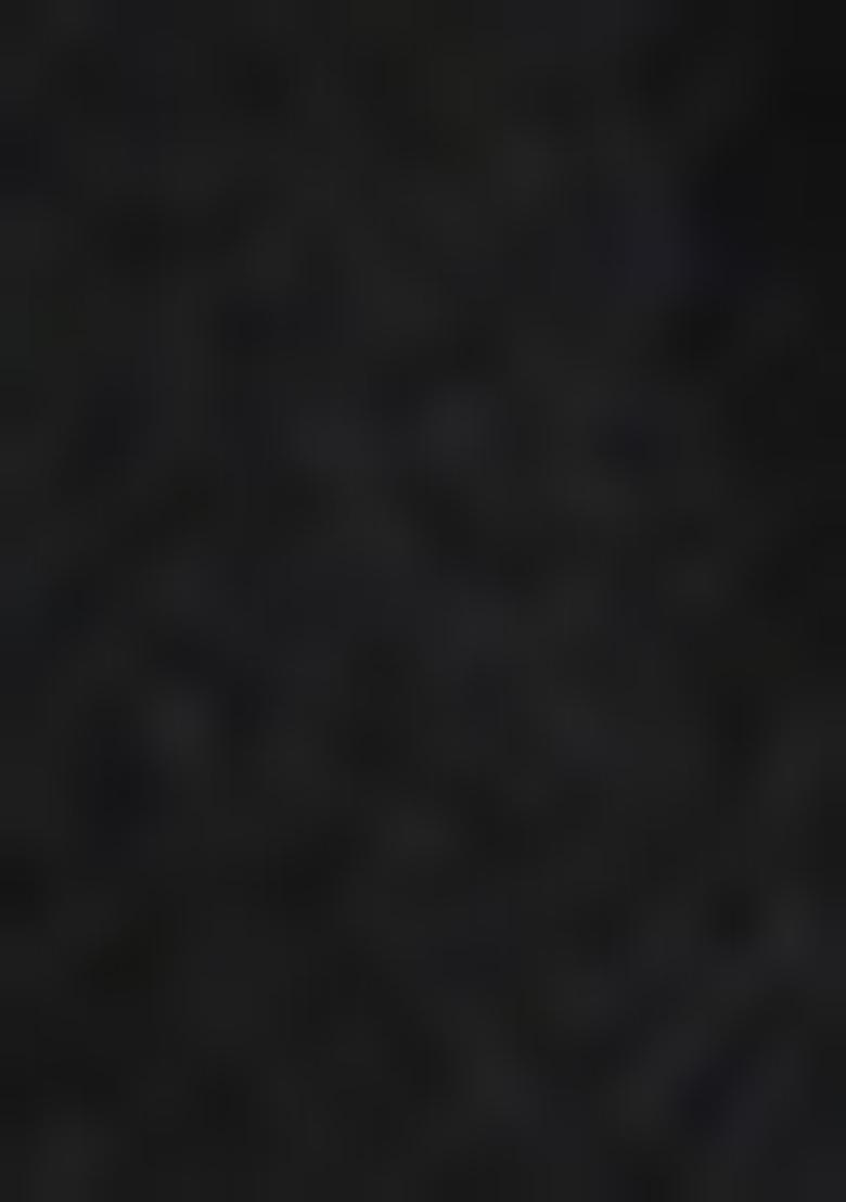 Black Sequin Embroidered Blouse Net Lehenga Set