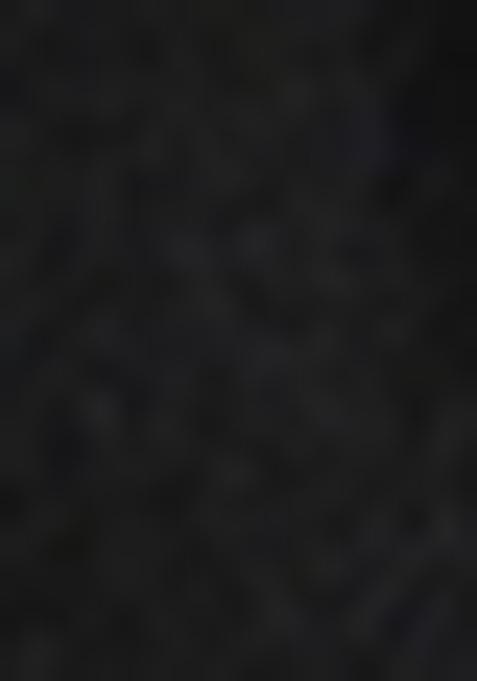 Black Sequin Embroidered Blouse Net Lehenga Set