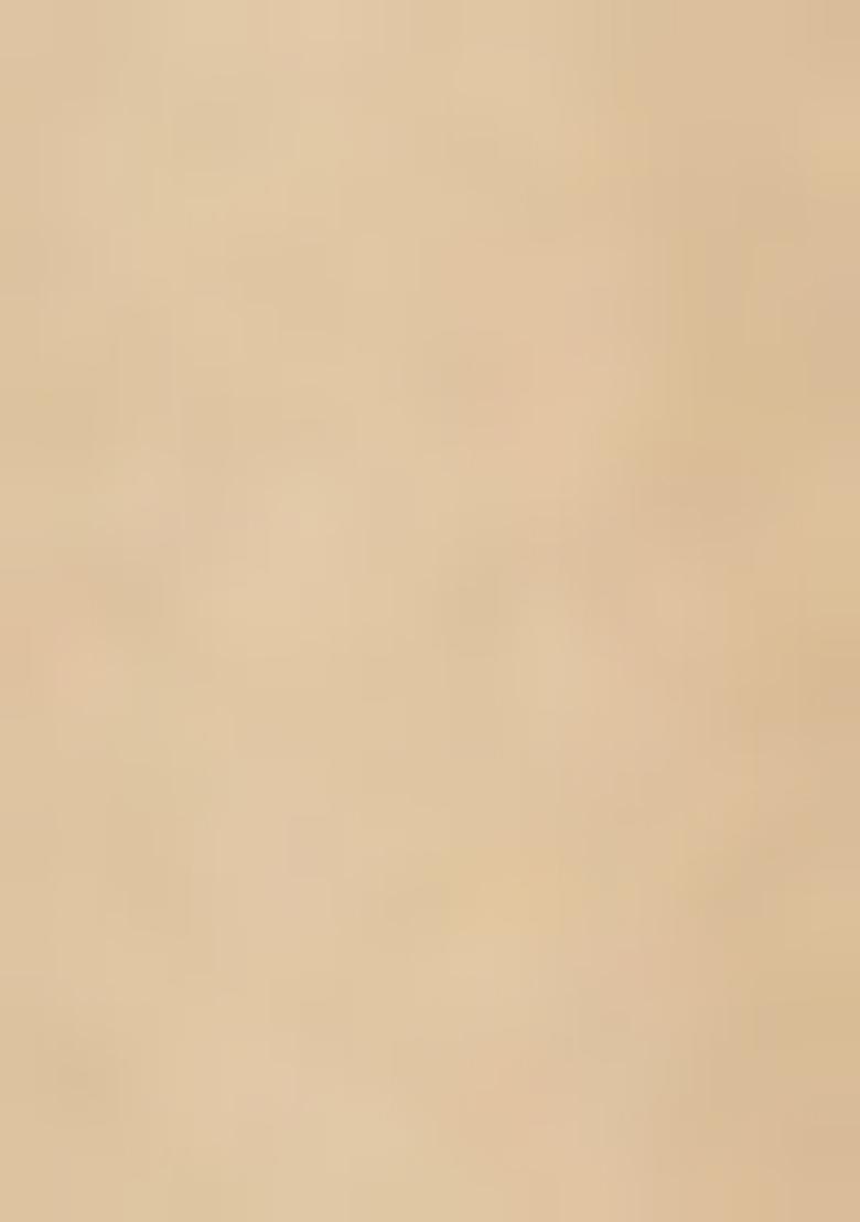 Beige Embroidered Blouse Net Lehenga Set