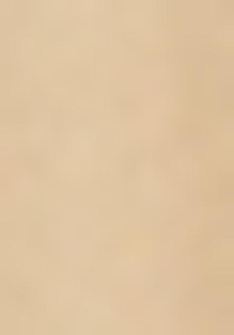 Beige Embroidered Blouse Net Lehenga Set