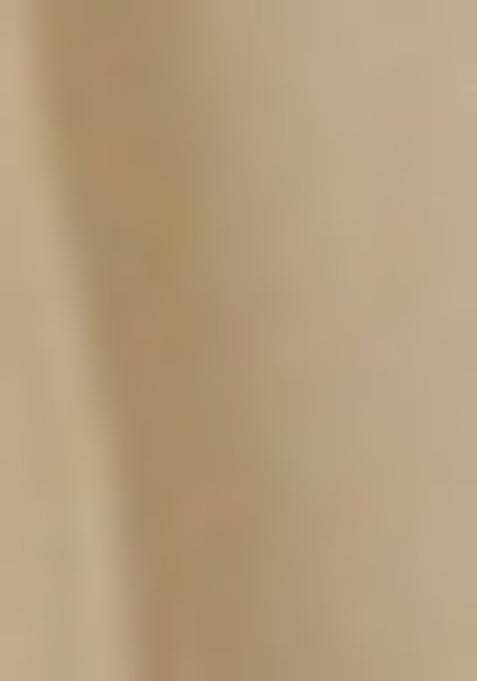 White Sequin And Threadwork Blouse Net Lehenga Set