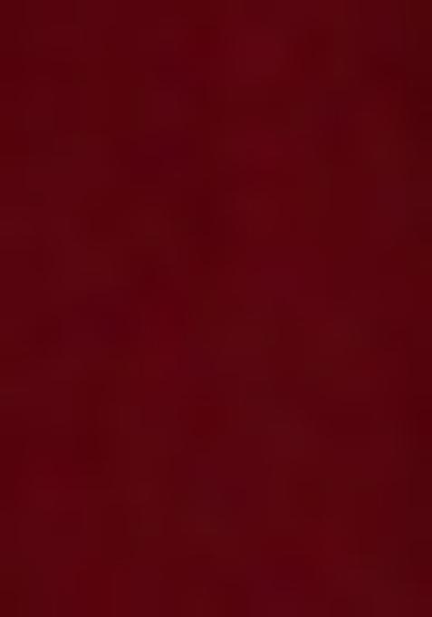 Brown Thread And Mirror Work Blouse Net Lehenga Set