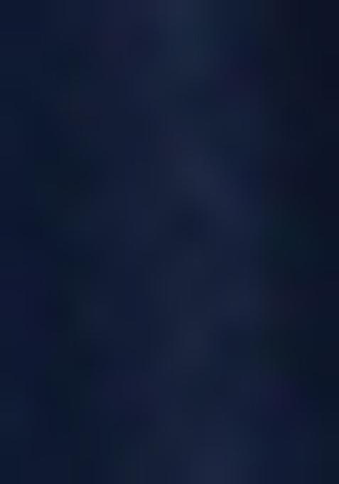 Blue Embroidered Blouse Net Lehenga Set