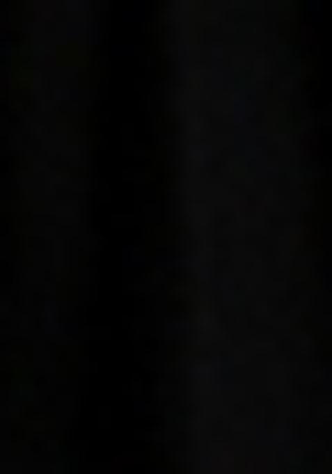 Black Embroidered Blouse Net Lehenga Set