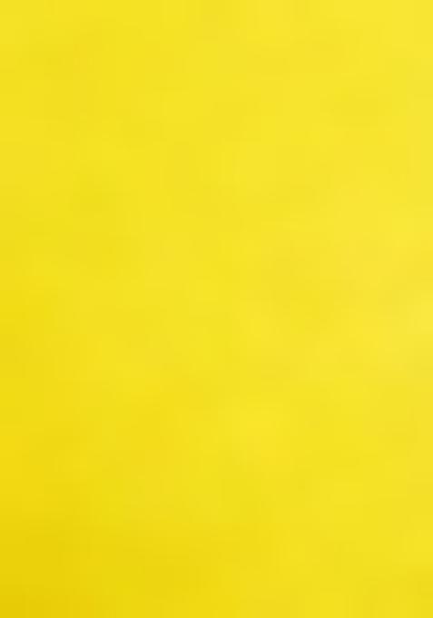 Lemon Yellow Thread work Chikankari Lehenga Set