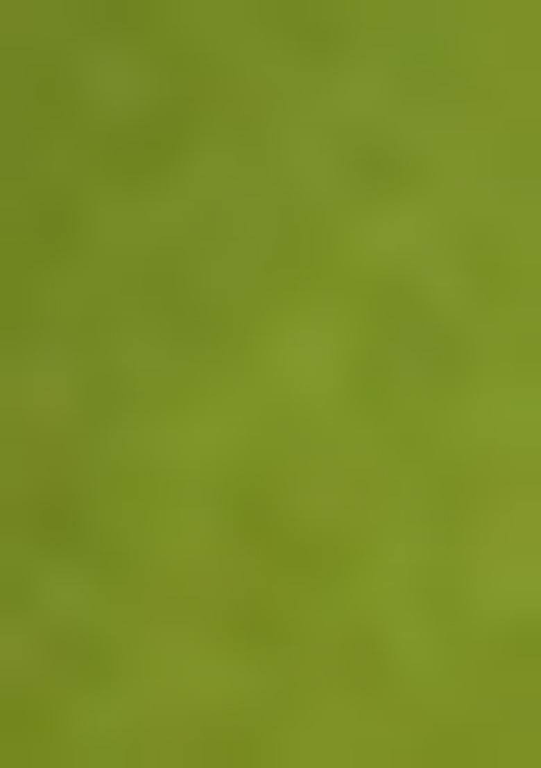 Green Thread work Chikankari Lehenga Set