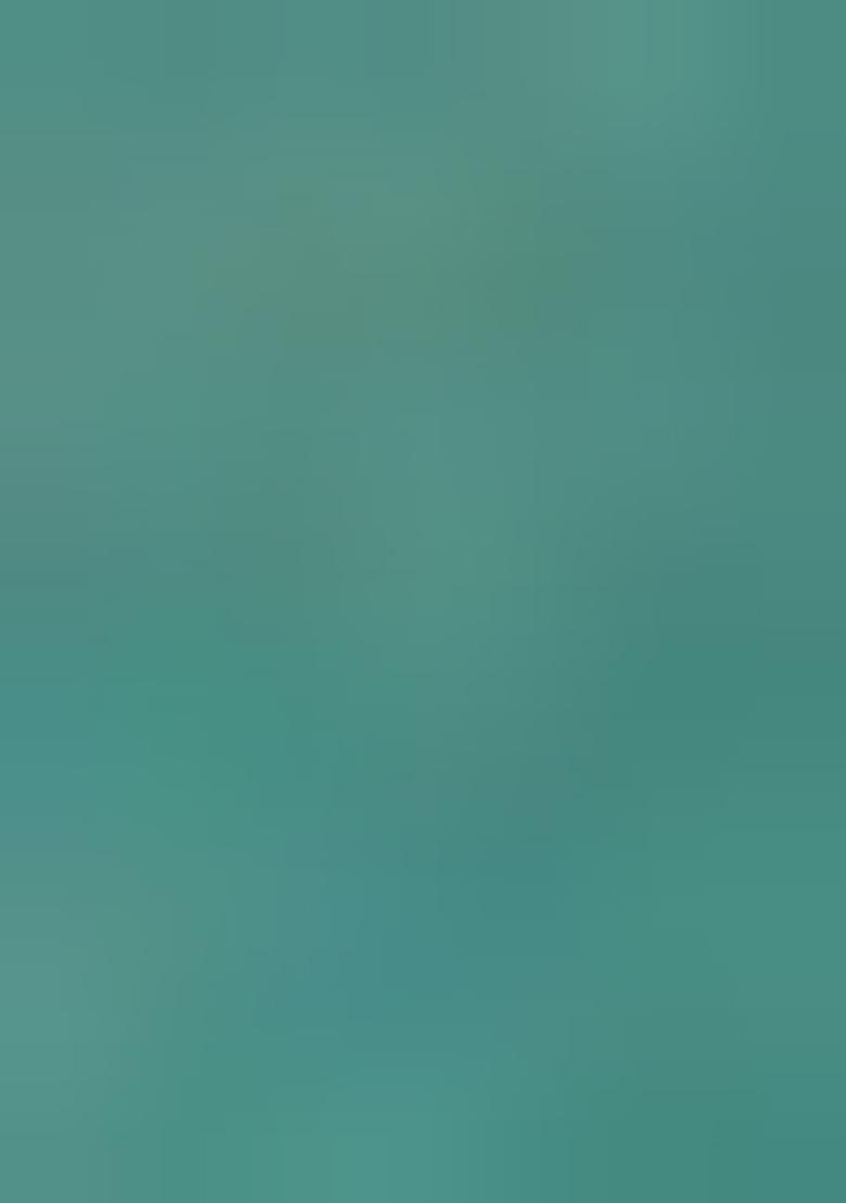 Green Printed Organza Lehenga Set