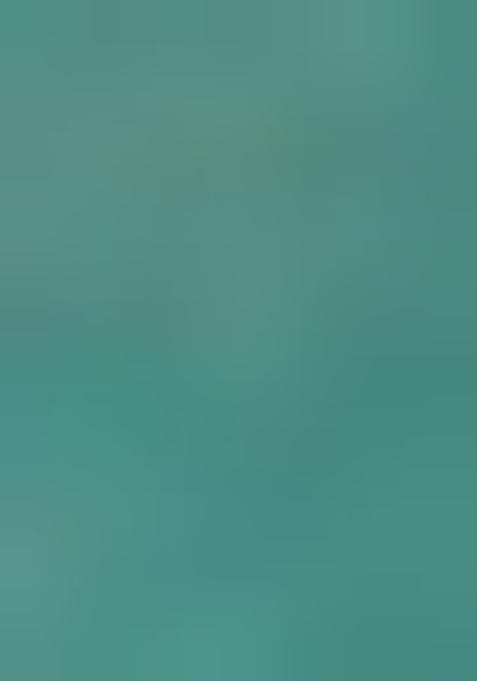 Green Printed Organza Lehenga Set