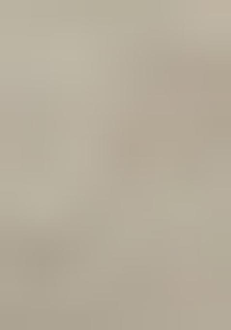 Grey Printed Organza Lehenga Set