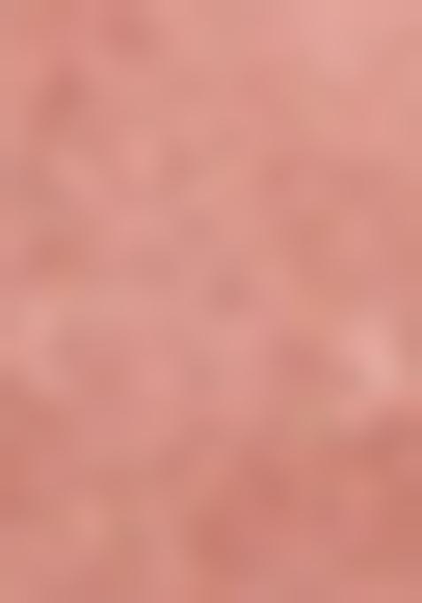 Onion Pink Shimmer Double Georgette Lehenga Set