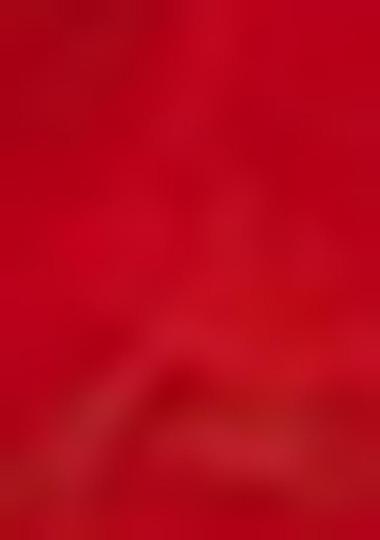 Red Printed Satin Lehenga Set