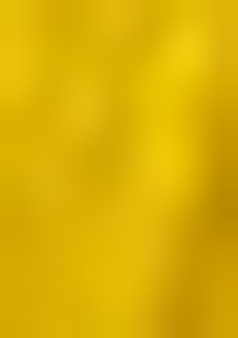 Yellow Printed Organza Lehenga Set - Indya