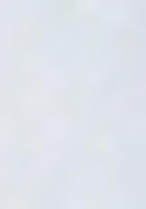 Multicolor Printed Rayon Lehenga Set