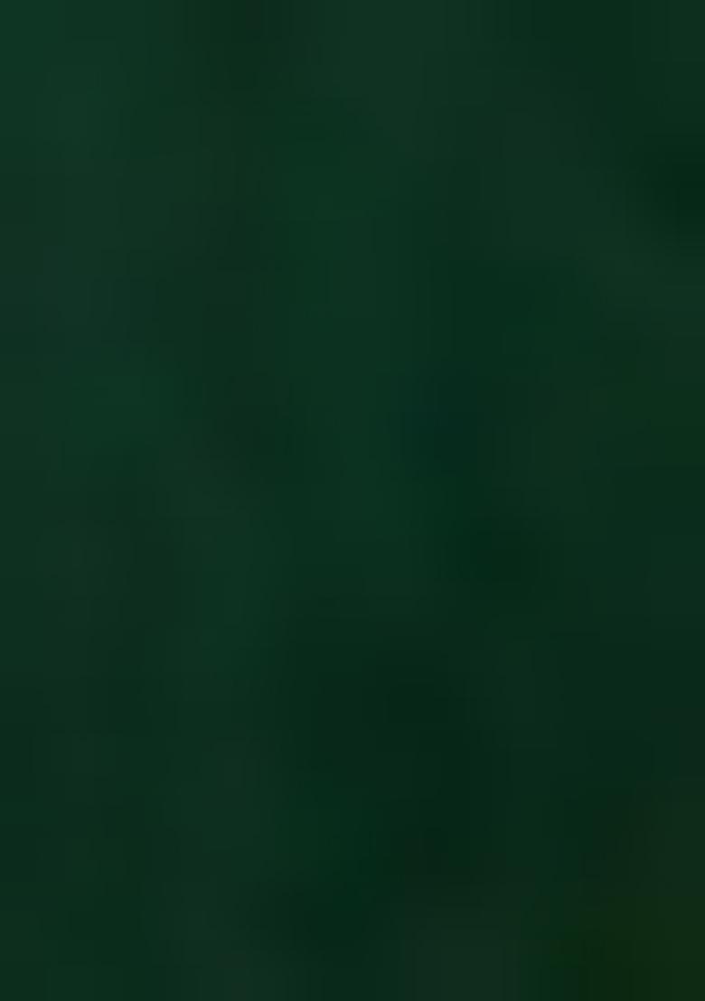 Green Printed Organza Lehenga Set