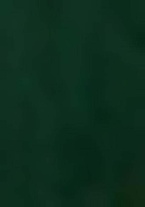 Green Printed Organza Lehenga Set