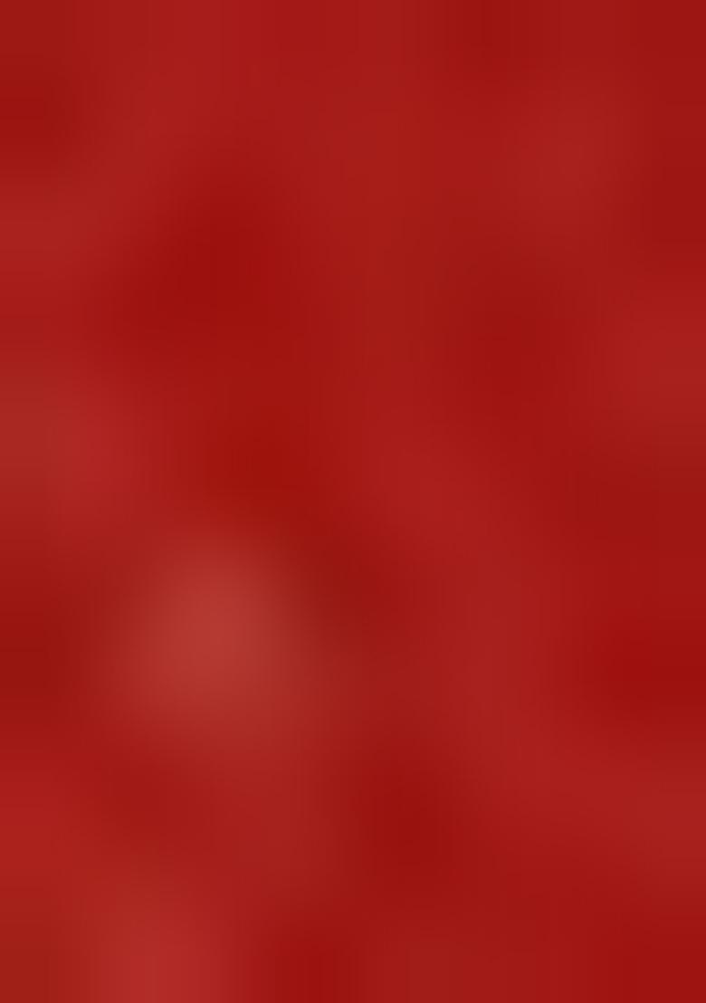 Red Embroidered Silk Lehenga Set