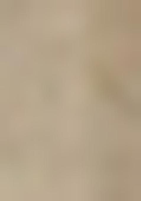 Light Beige Embroidered Tissue Lehenga Set