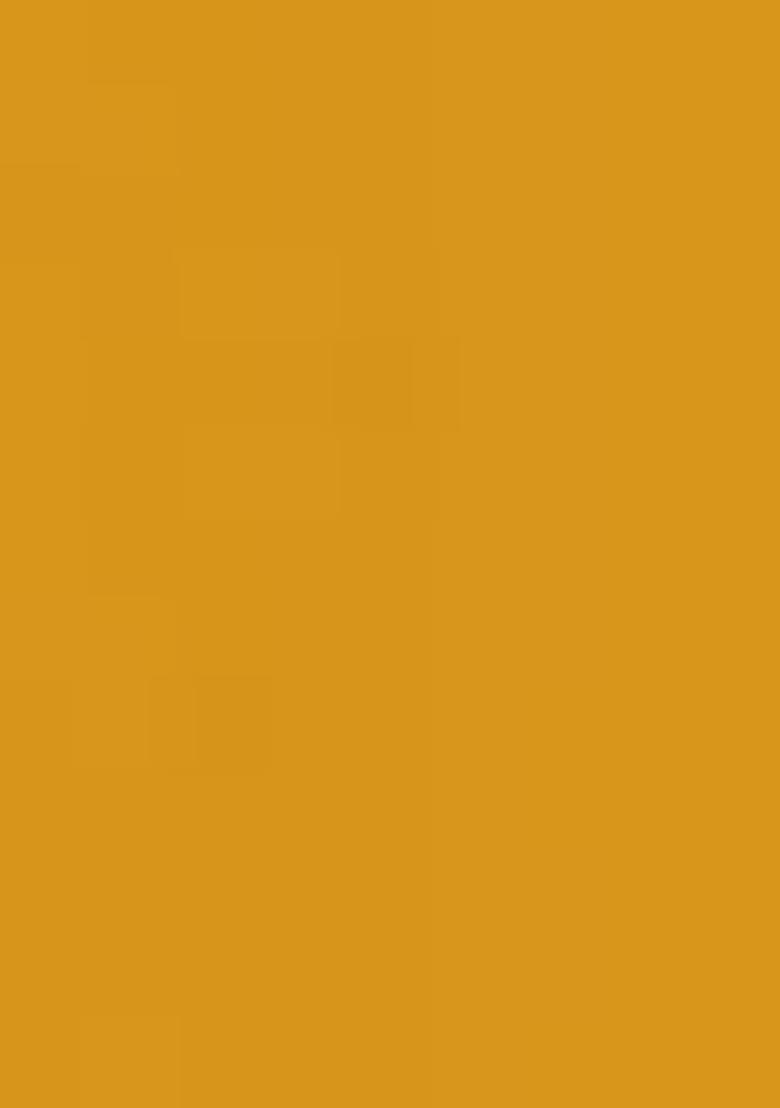 Yellow Printed Georgette Lehenga Set