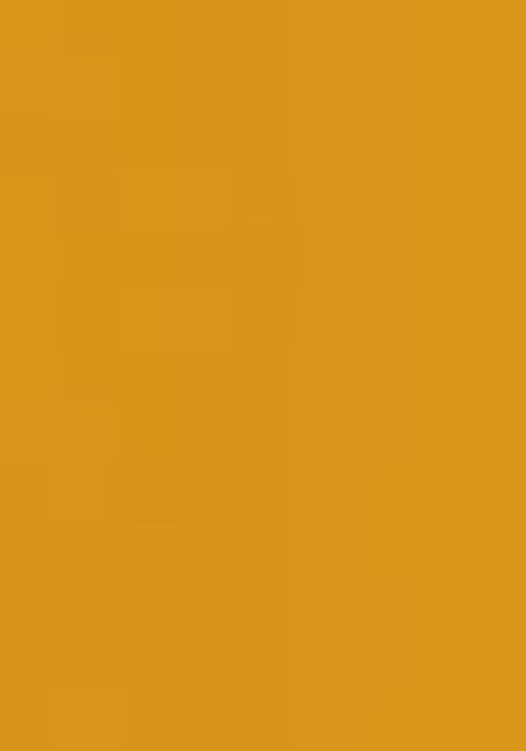 Yellow Printed Georgette Lehenga Set