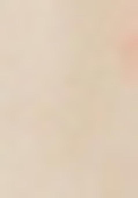 White Printed Georgette Lehenga Set