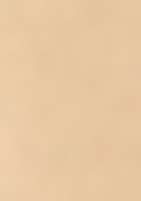 Beige Embroidered Tissue Lehenga Set