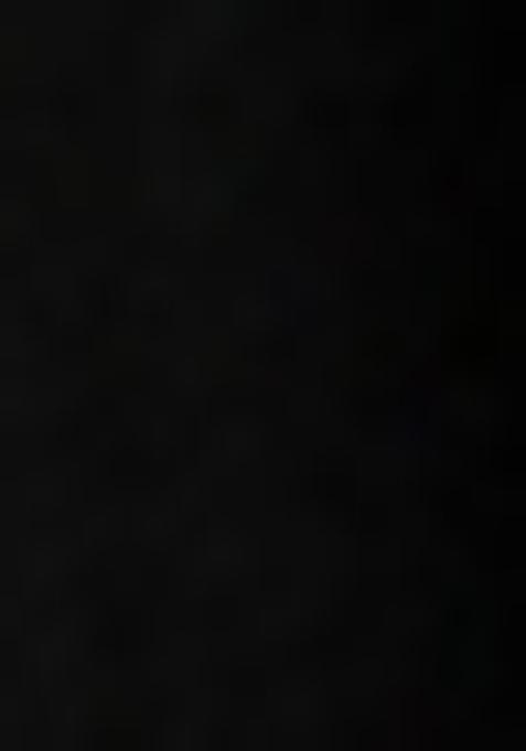 Black Printed Blouse Georgette Lehenga Set