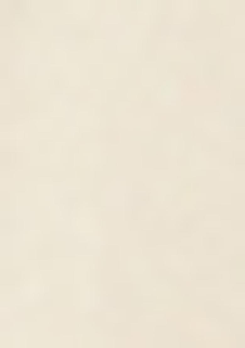 Off White Printed Blouse Georgette Lehenga Set