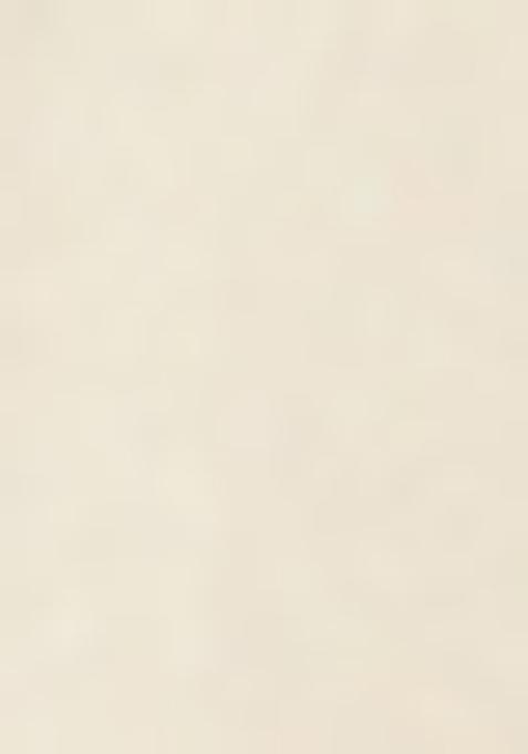 Off White Printed Blouse Georgette Lehenga Set