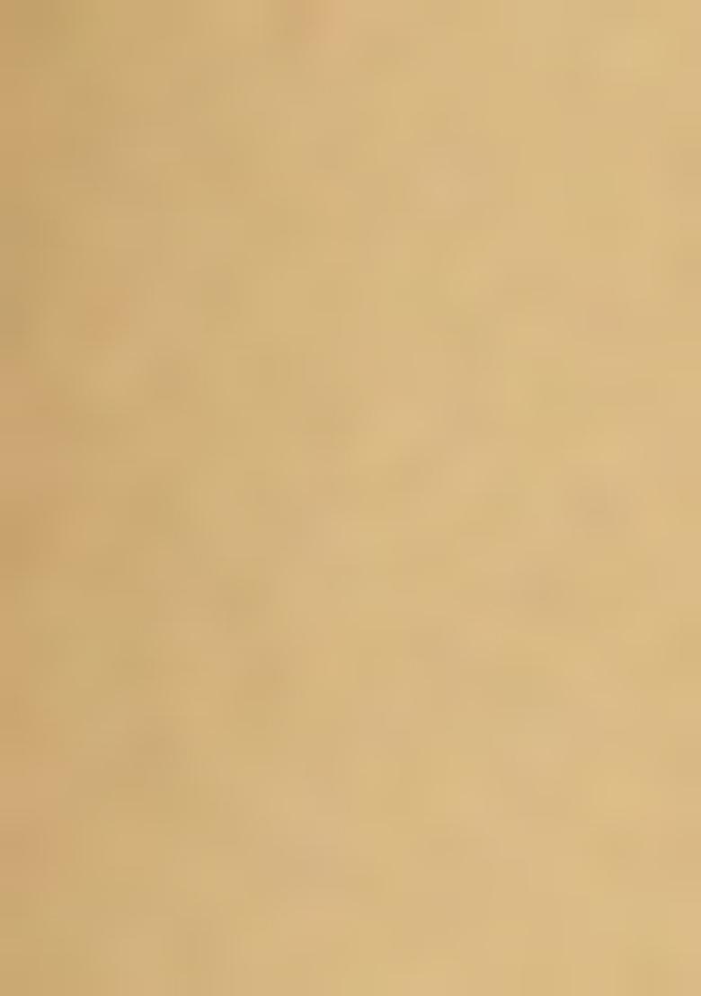 Cream Printed Blouse Georgette Lehenga Set