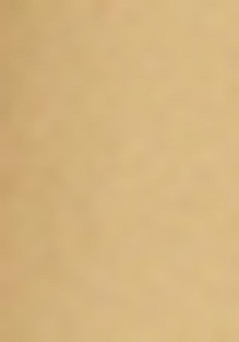 Cream Printed Blouse Georgette Lehenga Set