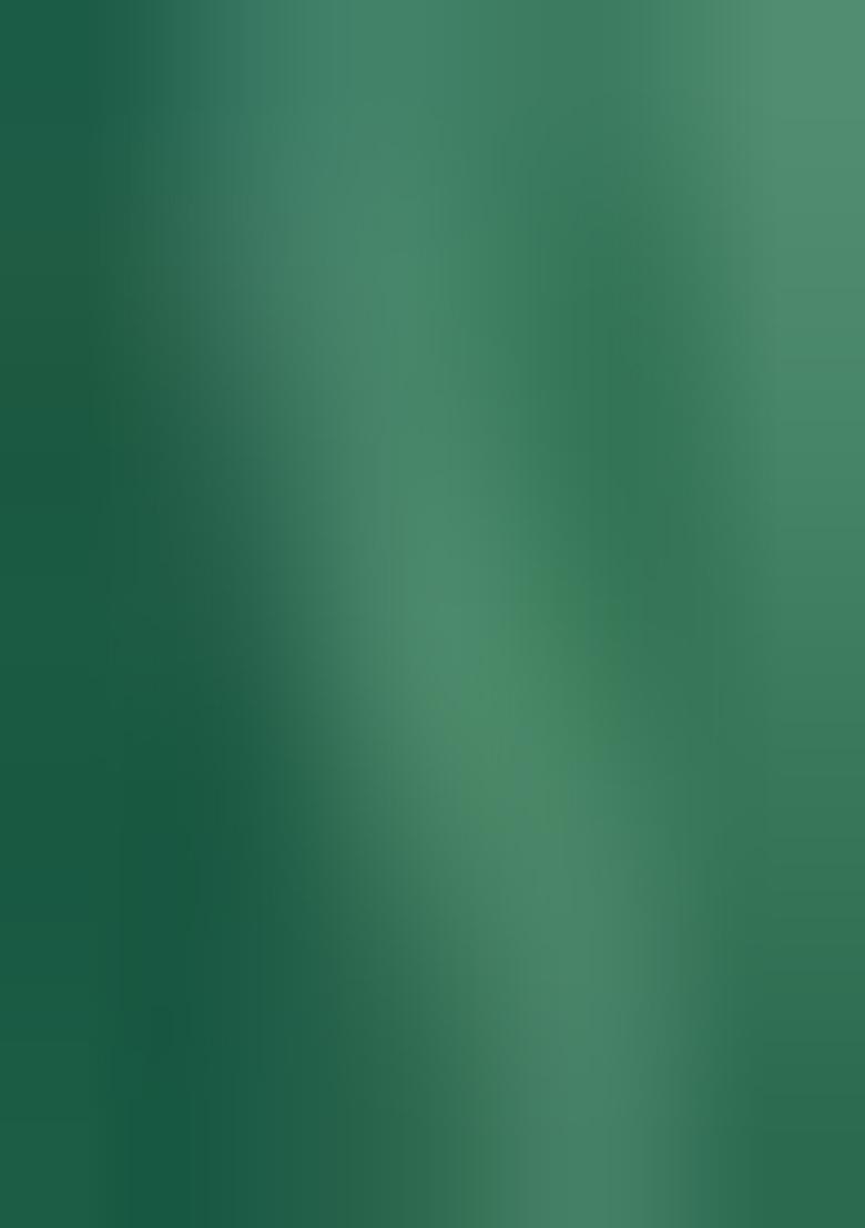 Sea Green Printed Chinon Chiffon Lehenga Set