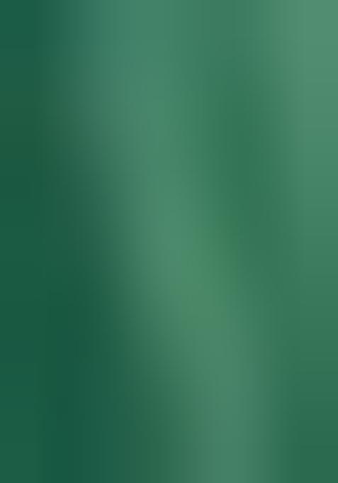 Sea Green Printed Chinon Chiffon Lehenga Set