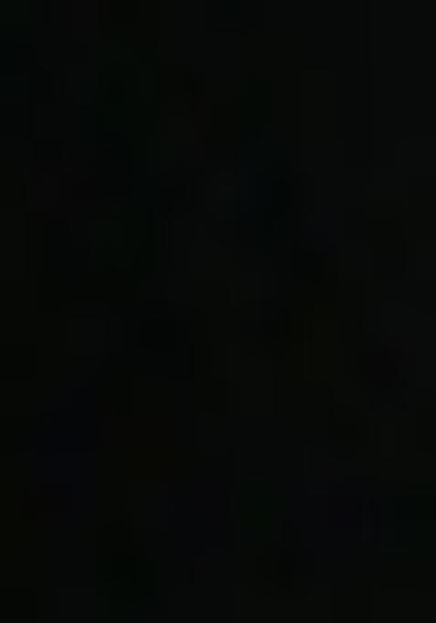 Black And Golden Embellished Net Lehenga Set