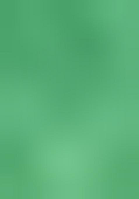 Green Printed Chinon Lehenga Set