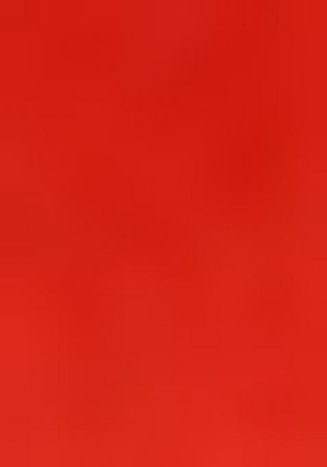 Multicolor Printed Poly Blend Lehenga Set