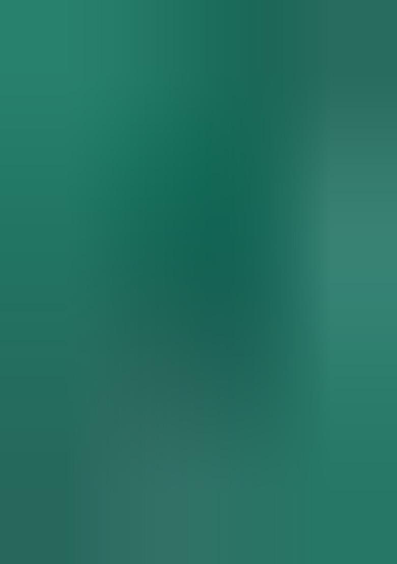 Green Sequin Net Lehenga Set