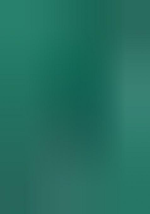 Green Sequin Net Lehenga Set