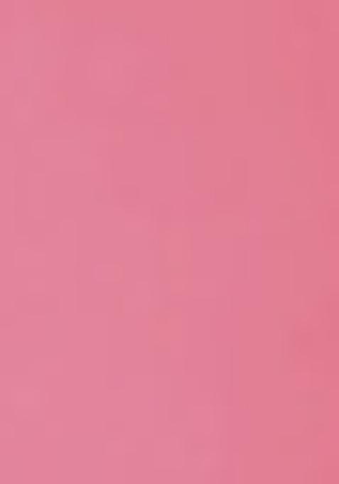 Pink Sequin Embellished Blouse Georgette Lehenga Set