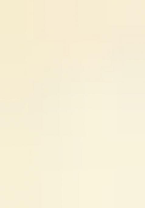 Beige Printed Crepe Lehenga Set