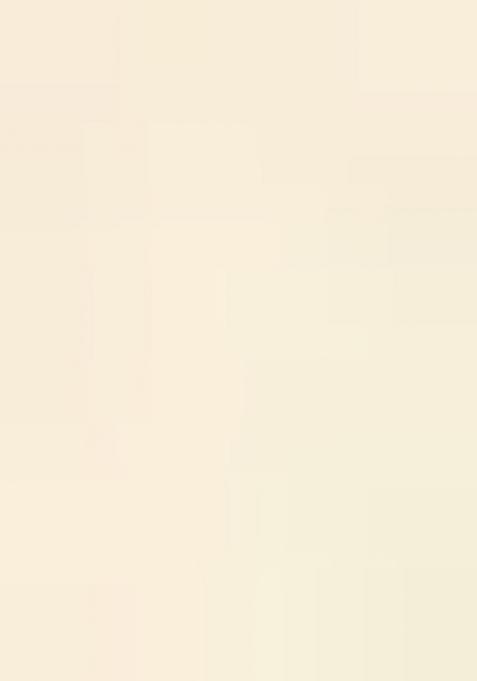 Off White Printed Crepe Lehenga Set