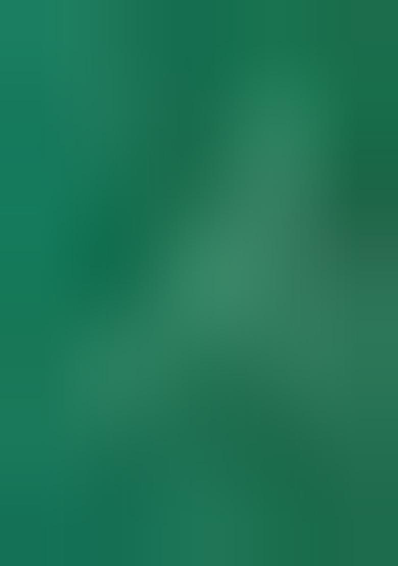 Green Printed Organza Lehenga Set