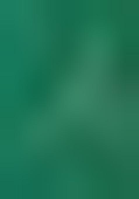 Green Printed Organza Lehenga Set