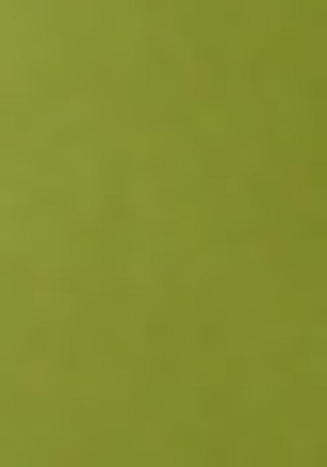 Lime Green Solid Organza Lehenga Set