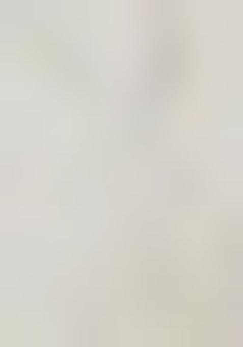 Multicolor Printed Chinon Lehenga Set