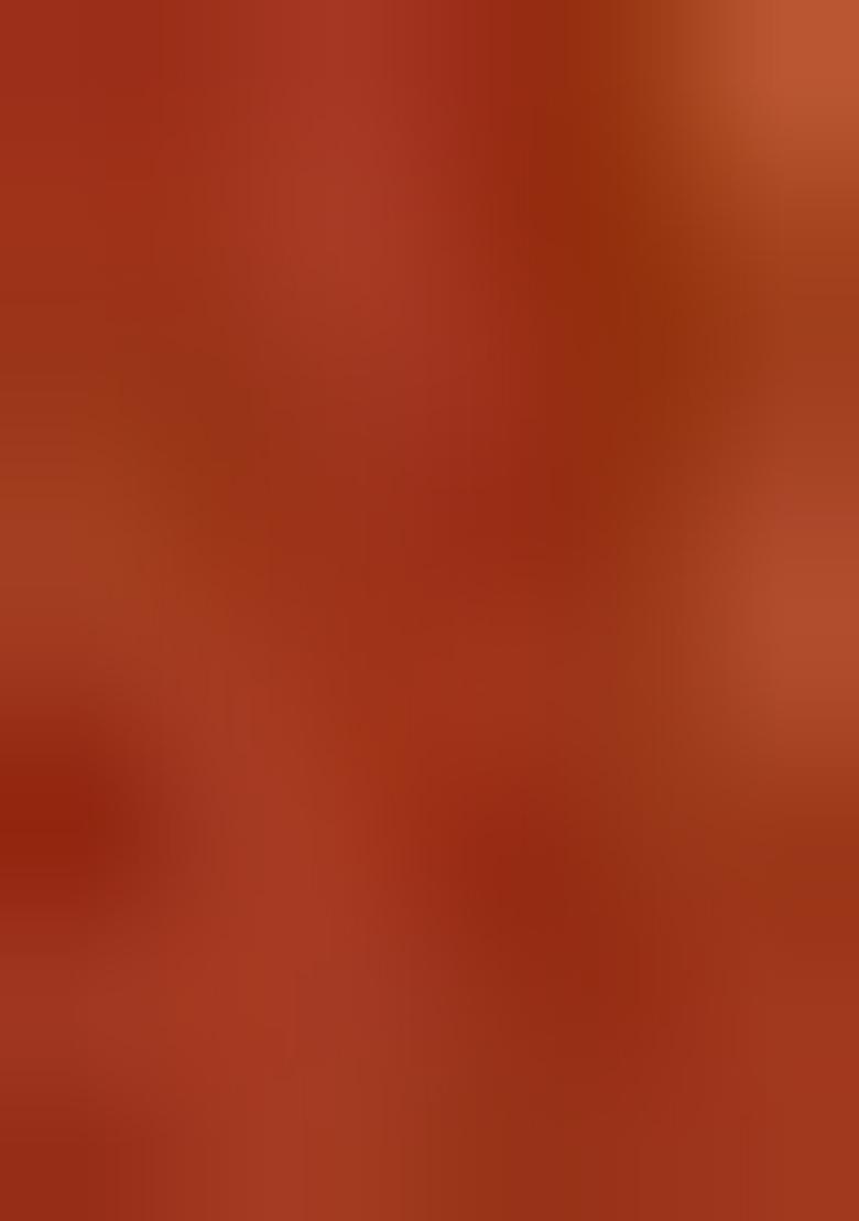 Orange Printed Silk Lehenga Set